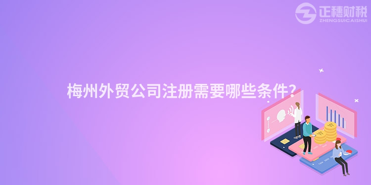 梅州外貿公司注冊需要哪些條件？