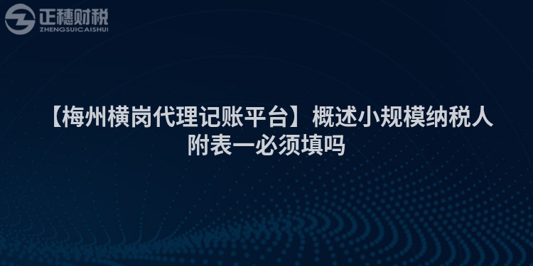 【梅州橫崗代理記賬平臺】概述小規模納稅人附表一必須填嗎