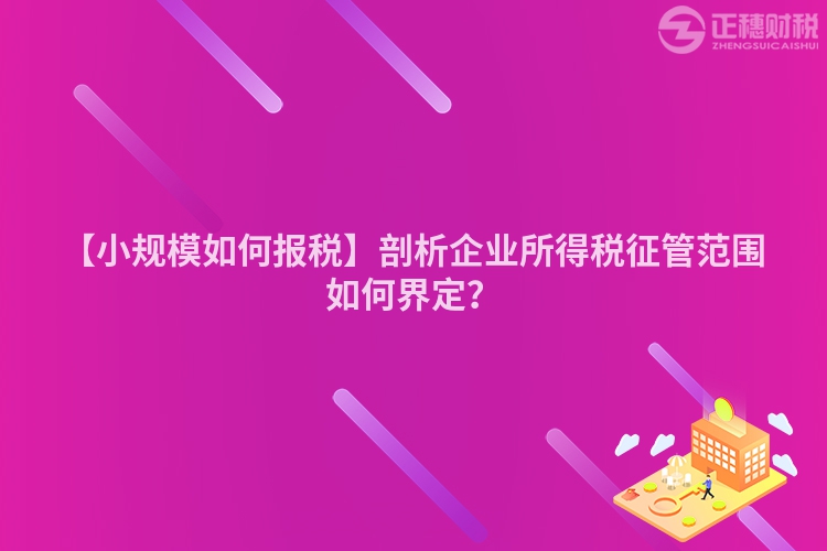 【小規模如何報稅】剖析企業所得稅征管范圍如何界定？
