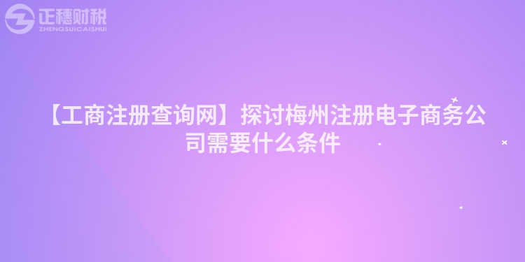 【工商注冊查詢網】探討梅州注冊電子商務公司需要什么條件