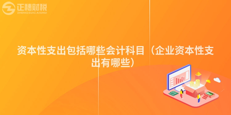 資本性支出包括哪些會計科目（企業資本性支出有哪些）