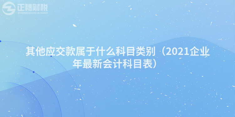 其他應交款屬于什么科目類別（2023企業年最新會計科目表）