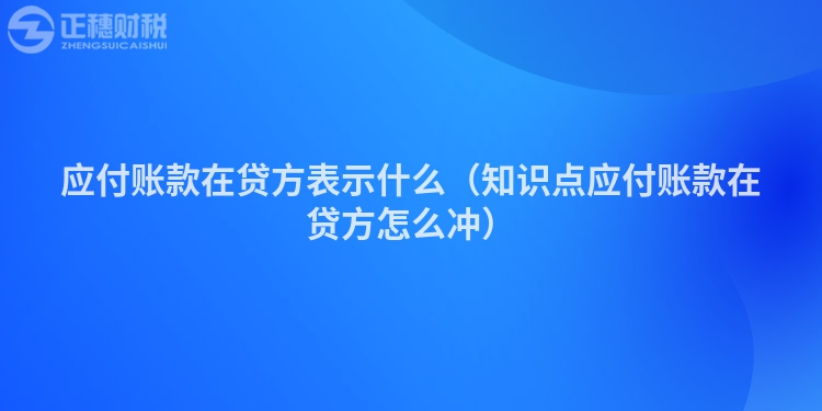 應付賬款在貸方表示什么（知識點應付賬款在貸方怎么沖）