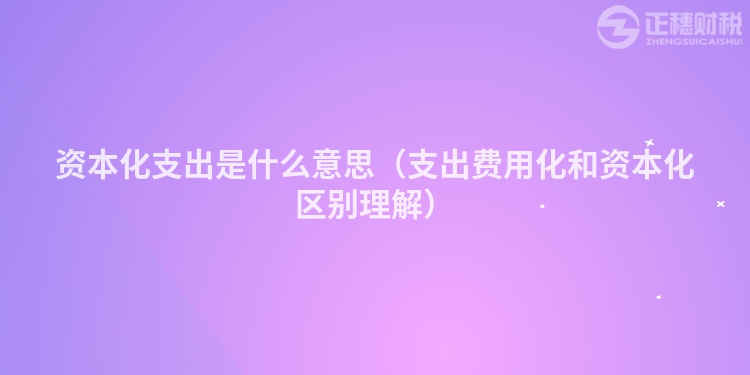 資本化支出是什么意思（支出費用化和資本化區別理解）