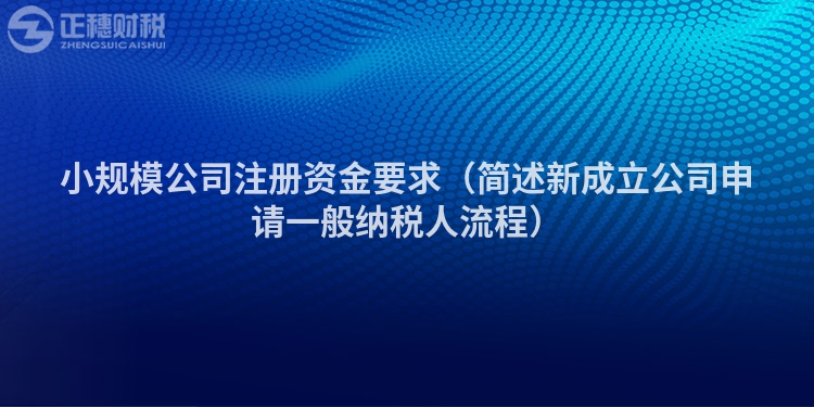 小規模公司注冊資金要求（簡述新成立公司申請一般納稅人流程）