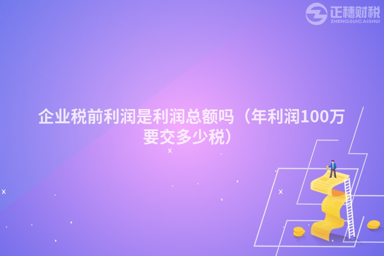企業稅前利潤是利潤總額嗎（年利潤100萬要交多少稅）