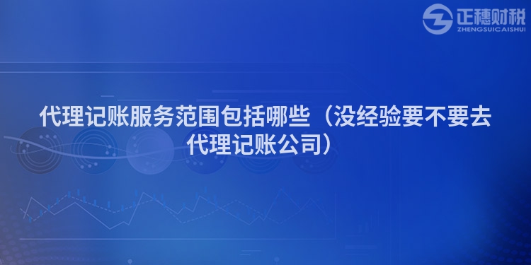 代理記賬服務范圍包括哪些（沒經驗要不要去代理記賬公司）