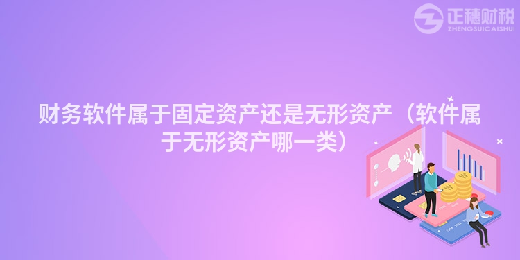 財務軟件屬于固定資產還是無形資產（軟件屬于無形資產哪一類）