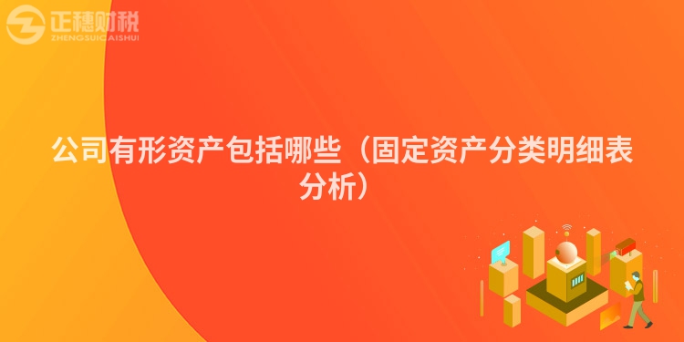 公司有形資產包括哪些（固定資產分類明細表分析）