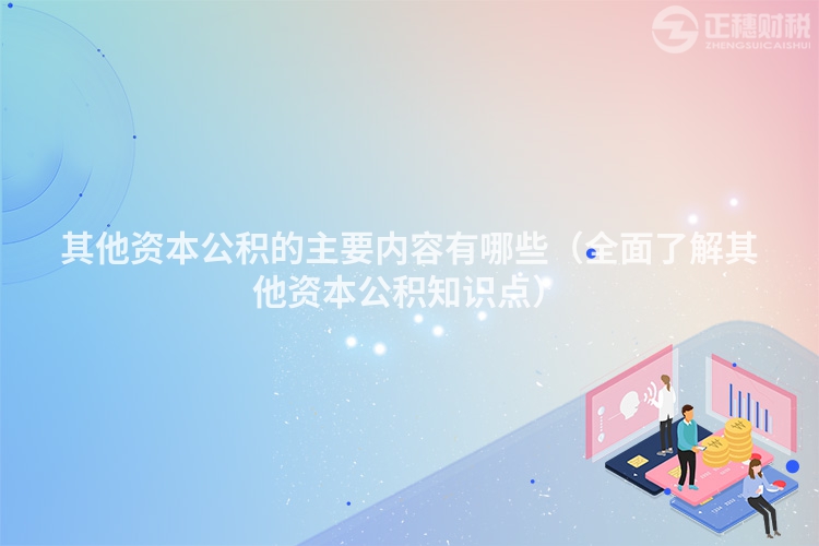 其他資本公積的主要內容有哪些（全面了解其他資本公積知識點）