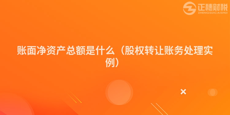 賬面凈資產總額是什么（股權轉讓賬務處理實例）