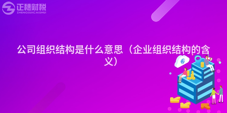 公司組織結構是什么意思（企業組織結構的含義）