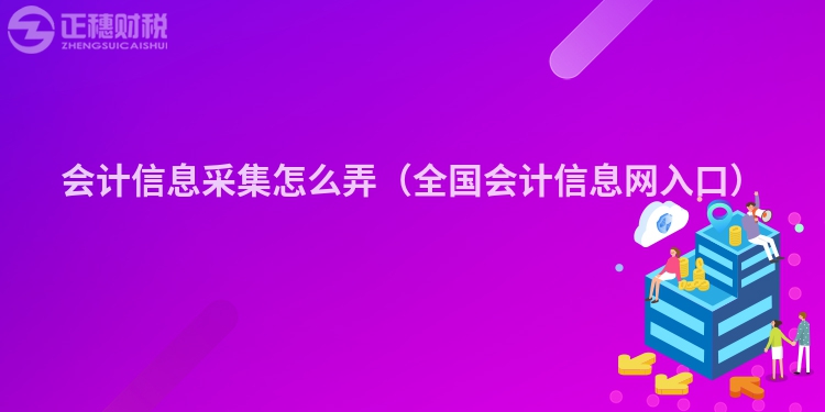 會計信息采集怎么弄（全國會計信息網入口）