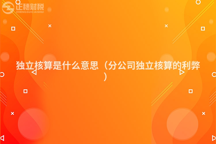 獨立核算是什么意思（分公司獨立核算的利弊）