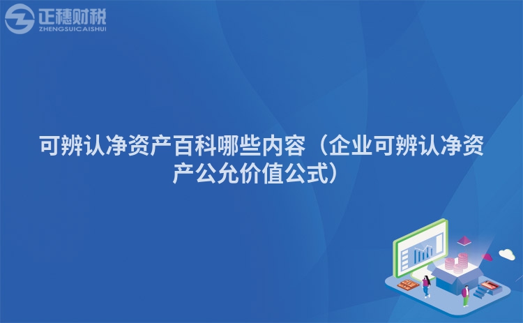 可辨認凈資產百科哪些內容（企業可辨認凈資產公允價值公式）