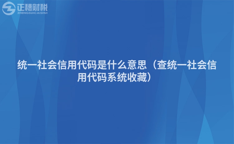 統一社會信用代碼是什么意思（查統一社會信用代碼系統收藏）