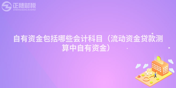 自有資金包括哪些會計科目（流動資金貸款測算中自有資金）
