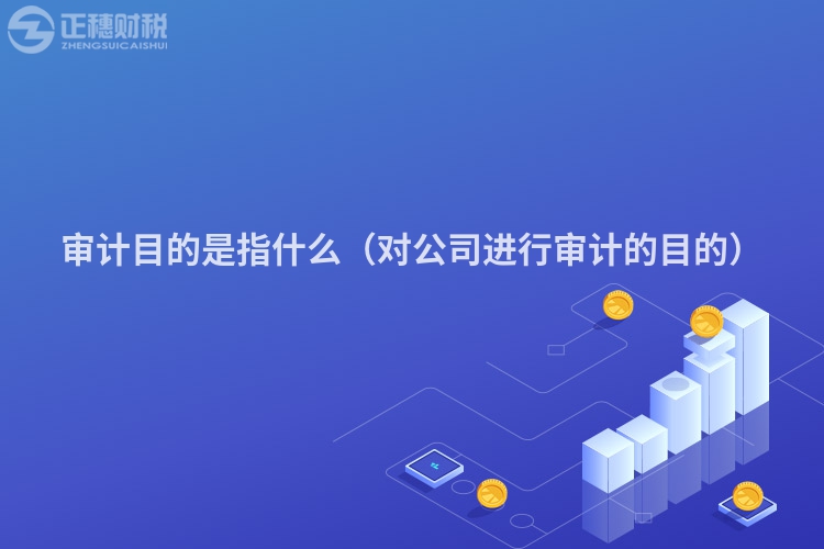 審計目的是指什么（對公司進行審計的目的）