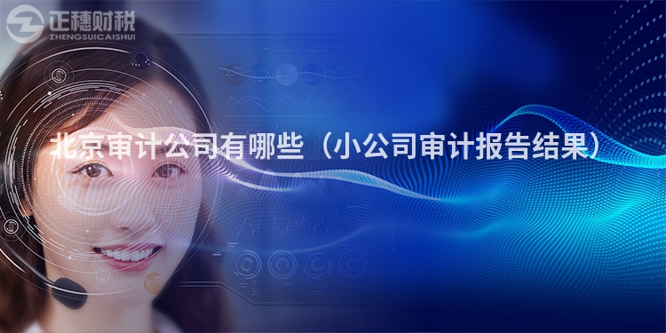 北京審計公司有哪些（小公司審計報告結(jié)果）