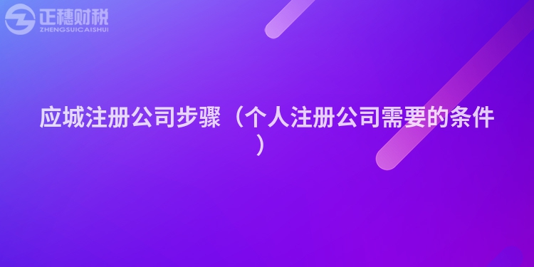 應城注冊公司步驟（個人注冊公司需要的條件）